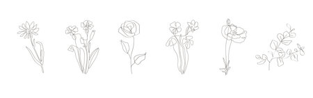 Trendy minimal elements of wild and garden plants, branches, leaves, flowers, herbs.. Continuous Line Drawing Of Plants Black Sketch of Flowers Isolated on White Background.のイラスト素材