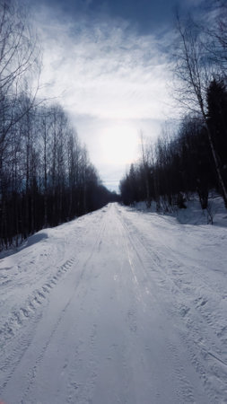 Snow-covered road in a winter forest on a bright sunny dayの写真素材