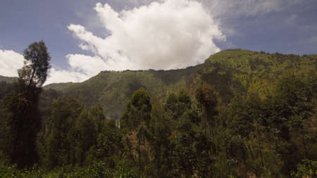 Slopes of mountains covered with green tropical forest.Jawa island, Indonesia. High mountain forest...