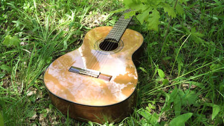 Acoustic guitar on the green grass in the forest. Guitar in a park in a forest glade outdoors on a...