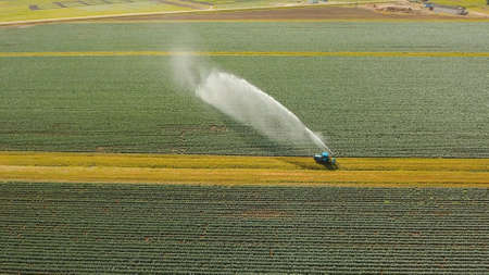 Aerial view: Irrigation equipment watering cabbage field. Irrigation system watering farm field.