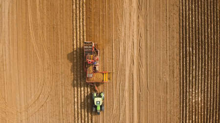 Farm machinery harvesting potatoes. Farmer field with a potato crop.