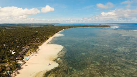 Beautiful tropical island with sand beach, palm trees. Aerial view of tropical beach on the island...