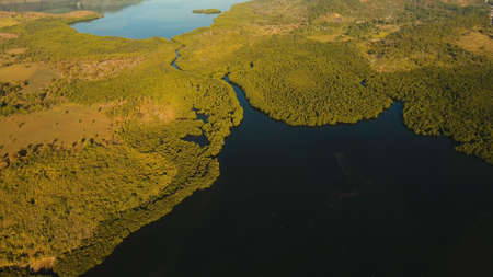 Landscape, at sunrise time with mountains, tropical forest, bay, mangrove forest. Coron, Philippines,Palawan, Busuanga.の写真素材