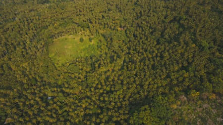 Rainforest covered with green vegetation and trees in the mountains on the tropical island. Aerial view: Mountains and hills with wild forest. Hillside rainforest and jungle. Mountains with sky clouds. Philippines, Camiguin.の写真素材