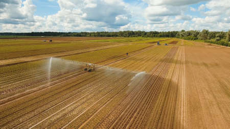 Aerial view: Crop Irrigation using the center pivot sprinkler system. An irrigation pivot watering...