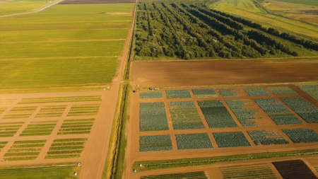 Aerial view of agricultural, cultivated fields. Agricultural landscape.Irrigated farmland