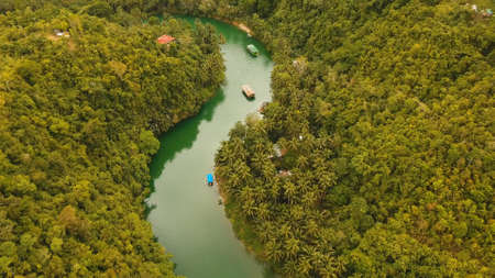 Aerial view, River in the rainforest among the jungle Tropical Loboc river in the rain forest in Asia. Mountain river flows through green forest. Philippines, Bohol.の写真素材