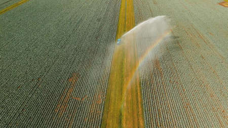 Aerial view: Irrigation equipment watering cabbage field. Irrigation system watering farm field.の写真素材