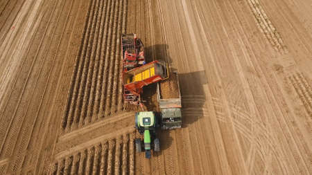 Farm machinery harvesting potatoes. Farmer field with a potato crop.の写真素材