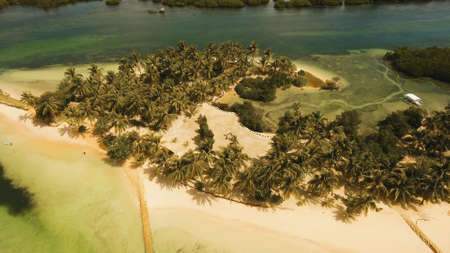 Aerial view of tropical beach on the island Siargao, Philippines. Beautiful tropical island with sand beach, palm trees. Tropical landscape: beach with palm trees. Seascape: Ocean, sky, sea . Philippines. Travel concept.の写真素材