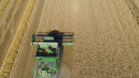 Combine harvester at work harvesting field wheat. Aerial view Combine harvester mows ripe spikelets,...