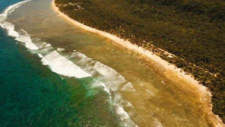 Aerial view of tropical beach on the island Siargao, Philippines. Beautiful tropical island with sand beach, palm trees. Tropical landscape: beach with palm trees. Seascape: Ocean, sky, sea . Philippines.の写真素材
