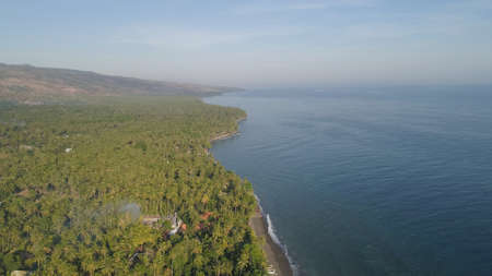 aerial seascape coastline with black sand beach, palm trees, hotel in tropical resort....