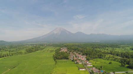 Rural landscape in asia village among rice fields agricultural land, mountains in countryside. aerial view farmland with agricultural crops in rural areas Java Indonesiaの写真素材