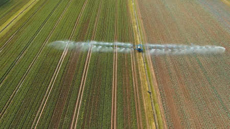 Aerial view: Irrigation equipment watering cabbage field. Irrigation system watering farm field.の写真素材