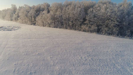 aerial view winter landscape trees covered with snow in countryside. field and trees in winter dayの写真素材