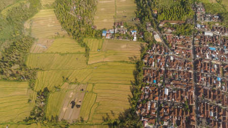 town among rice fields and terraces in Asia. aerial view farmland with rice terrace agricultural...