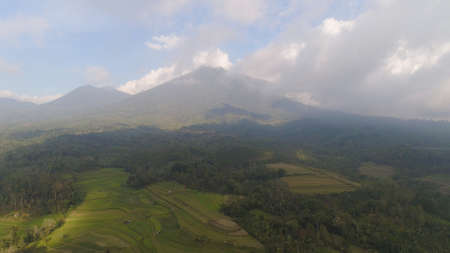 rural landscape with farmlands, rice terraces against mountains. Aerial view agricultural land on mountainside. tropical landscape Bali, Indonesia.の写真素材