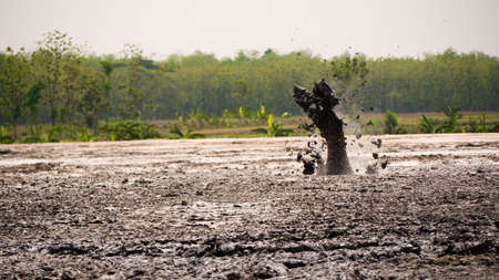 mud volcano with bursting bubble bledug kuwu. volcanic plateau with geothermal activity and geysers,...