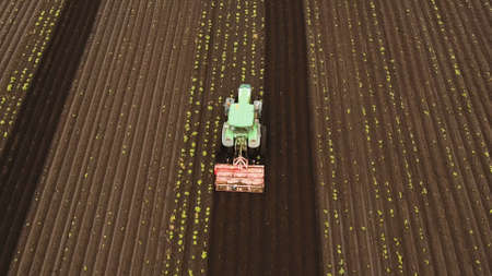 Aerial view Tractor Hilling Potatoes with disc hiller. Farmer in tractor preparing land with seedbed...
