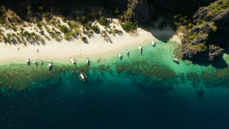 aerial drone tropical island and sand beach with palm trees. Malajon Island, Philippines, Palawan. tourist boats on coast tropical island. Summer and travel vacation concept. beach and blue clear sea waterの写真素材