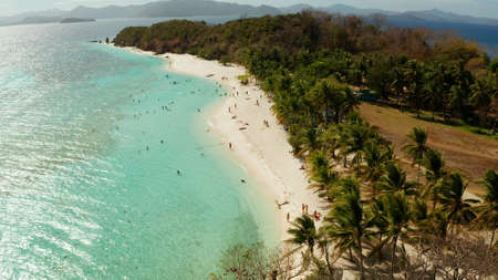 aerial view tropical island with sand white beach, palm trees. Malcapuya, Philippines, Palawan....