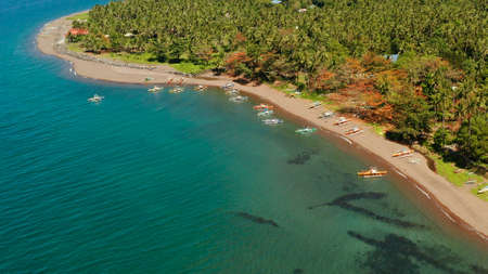 Coconut palms near the beach and the blue sea, above view. Beach with fishing boats and palm trees,...