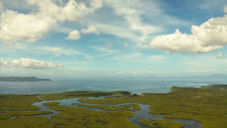 Mangrove rainforest with green trees in the sea water, aerial view. Tropical landscape with mangrove...
