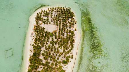 Tropical island with beautiful beach, palm trees and turquoise water view from above. Onok Island,...