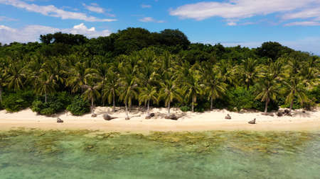 Coconut trees on a white beach. Caramoan Islands, Philippines. Beautiful islands, aerial drone....
