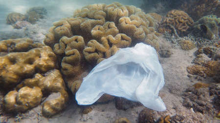 Environmental Problem - plastic trash on a coral reef. A plastic bag on a coral reef. Ecological problem.の写真素材