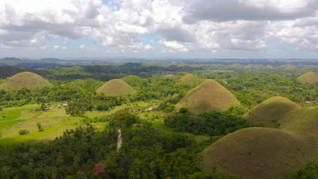 Aerial view of Chocolate hills in Bohol island,Philippines. Hills covered with grass and vegetation.