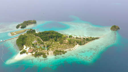 Top view of small tropical island in the blue sea with a coral reef and the beach. Malipano Islet,...