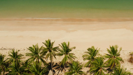 Blue sea and tropical beach, aerial drone. Nacpan, El Nido, Palawan, Philippine Islands. Seascape with tropical beach and islands. Summer and travel vacation conceptの写真素材