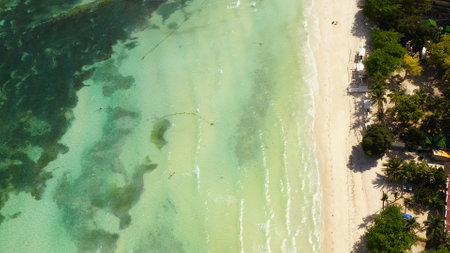 Aerial drone of coast, turquoise sea and sand beach. Panglao island, Bohol, Philippines.