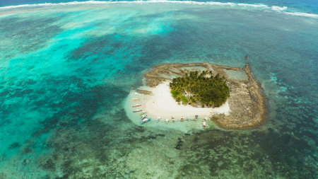 Tropical island in the ocean with palm trees on white sand beach. Guyam island, Philippines, Siargao. Summer and travel vacation conceptの写真素材