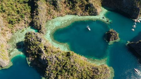 Aerial view tourist boats in lagoon. Kayangan Lake. lagoons, mountains covered with forests.coves with blue water among the rocks. Seascape, tropical landscape. Palawan, Philippinesの写真素材