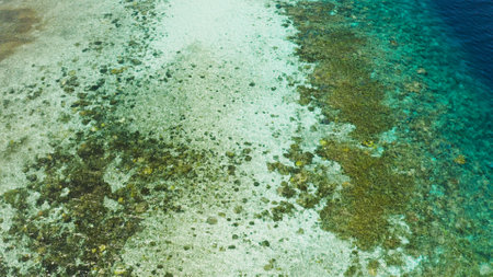Sea water surface in lagoon with coral reef copy space for text. Top view transparent turquoise ocean water surface. background textureの写真素材