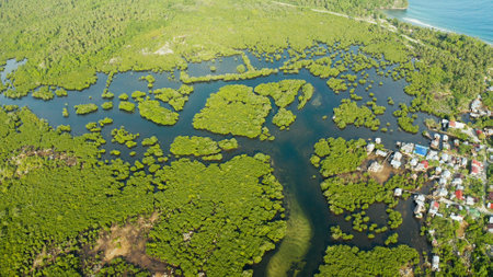 Village near mangroves in the bay of the ocean, top view. Siargao island, Philippines.の写真素材