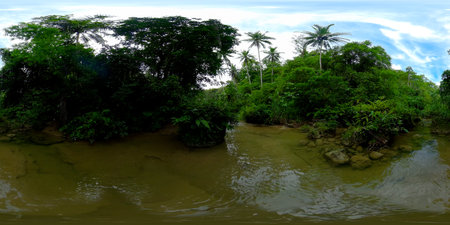 River in the mountain jungle covered with green trees. River in a rainforest in a mountain canyon....