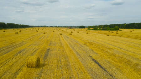 Aerial over rural countryside drone motion haystacks harvested field wheat straw. Harvesting hay,...