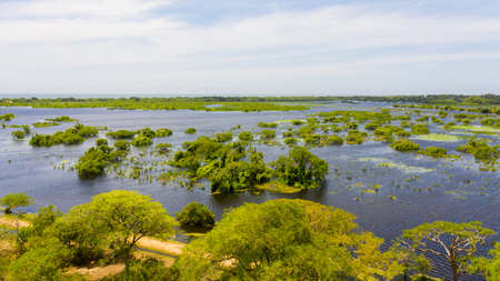 Aerial view of Lake with birds in the Kumana national park. Sri Lanka.