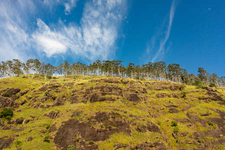 Aerial view of Mountain peaks covered with forest from above. Sri Lanka.