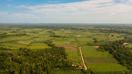Aerial view of Agricultural land and green fields on a plain in the countryside. Sri Lanka.