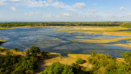 Aerial view of Lakes and wetlands among the jungle against the backdrop of mountains. Sri Lanka.の写真素材