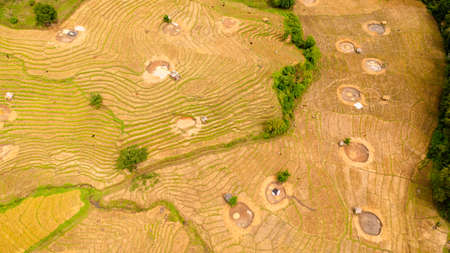 Rice fields and terraces in a valley among the mountains. Agricultural landscape in Sri Lanka.
