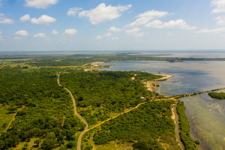 Top view of coast with lagoons and coves in Sri Lanka.の写真素材