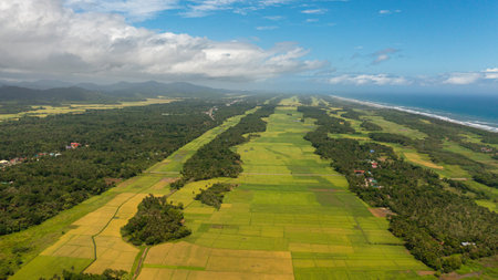 Aerial drone of Agricultural lands and rice fields in rural areas. Philippines.の写真素材
