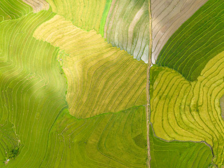 Aerial view of houses of farmers among rice fields and farmlands. Negros, Philippines.